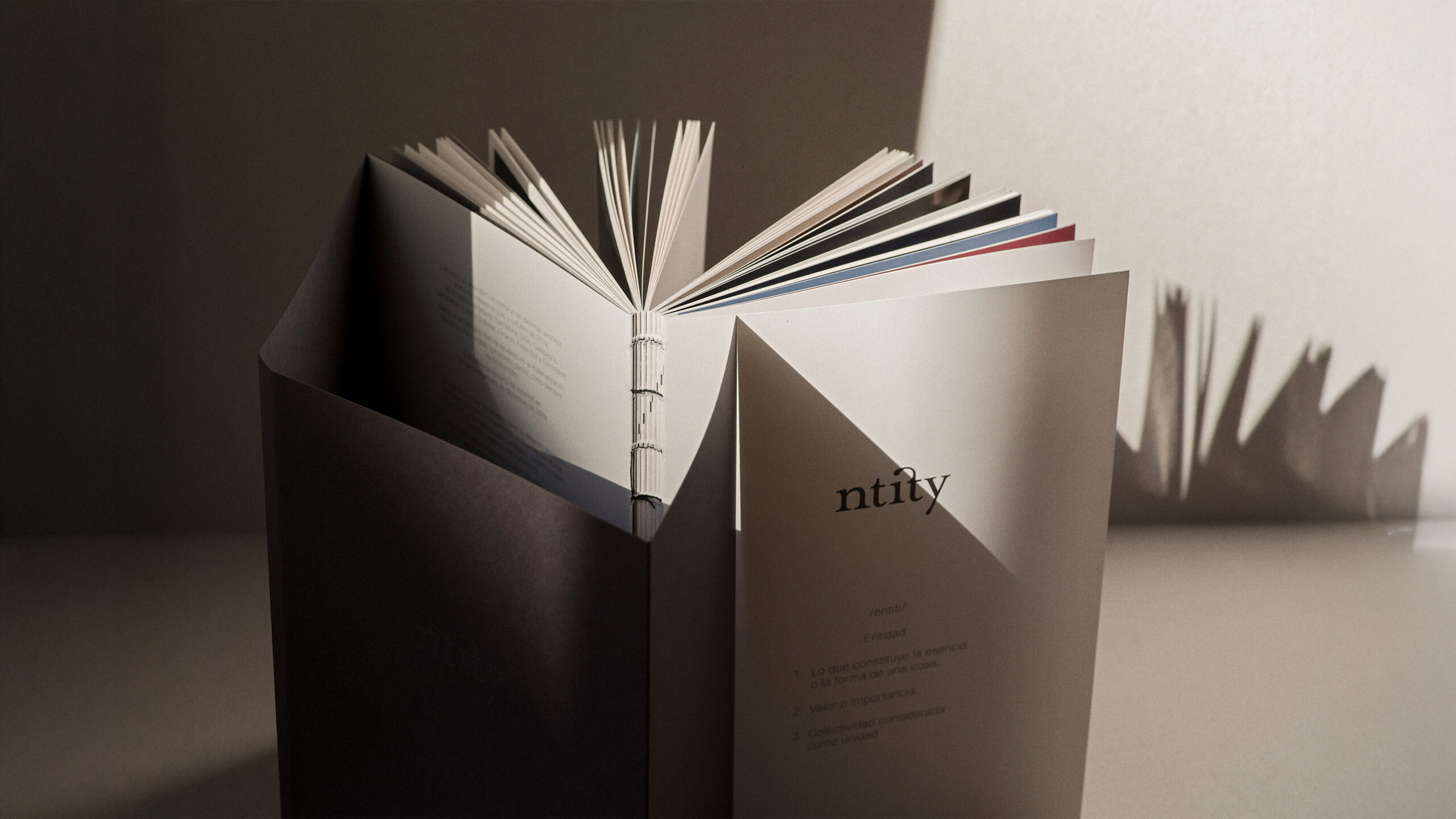 01_ntity_lab_el_libro_de_ntity
