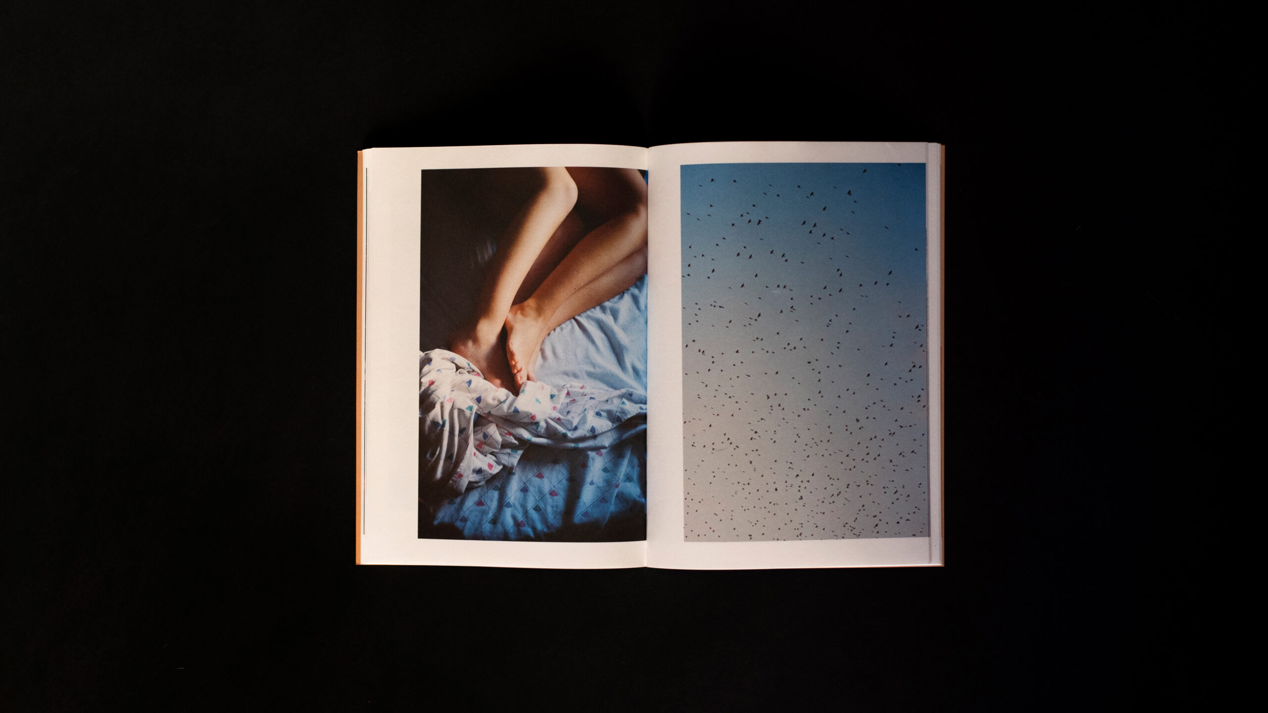 02_ntity_lab_las_simples_cosas