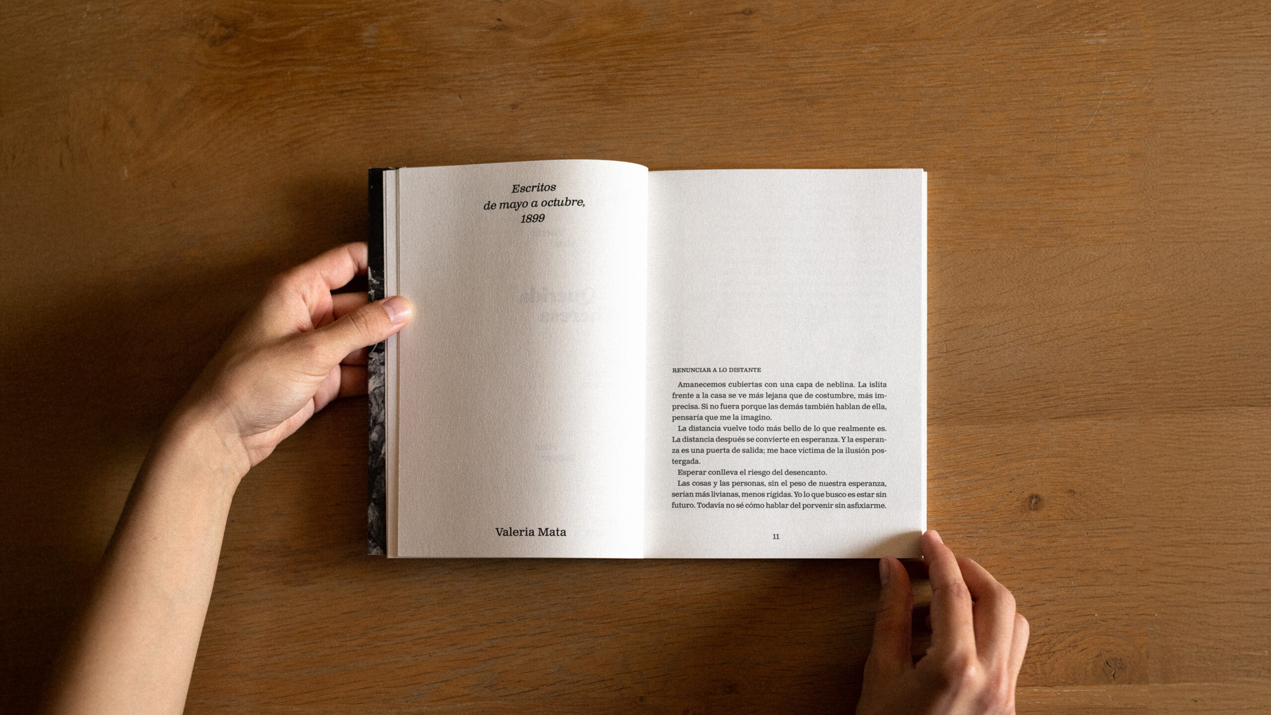 02_ntity_lab_querida_theresa