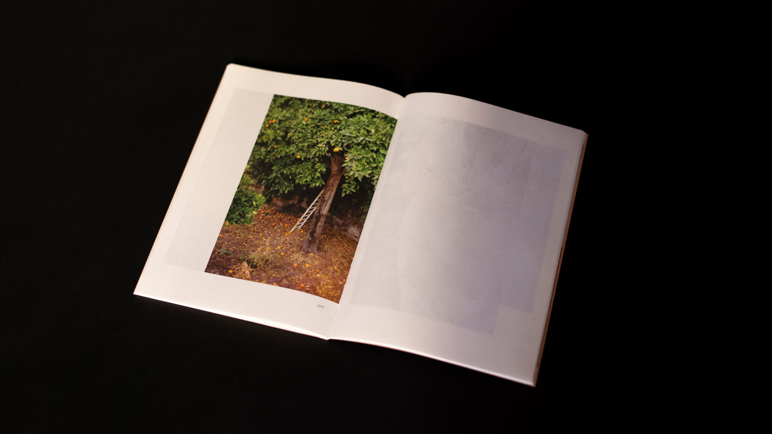 03_ntity_lab_las_simples_cosas